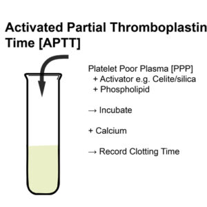 https://chroneva.com/wp-content/uploads/2022/03/Activated-Partial-Thromboplastin-Time-APTT-300x300.jpg