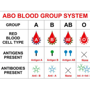 https://chroneva.com/wp-content/uploads/2022/03/Blood-Grouping-A-B-O-And-Rh-Type-300x300.jpg